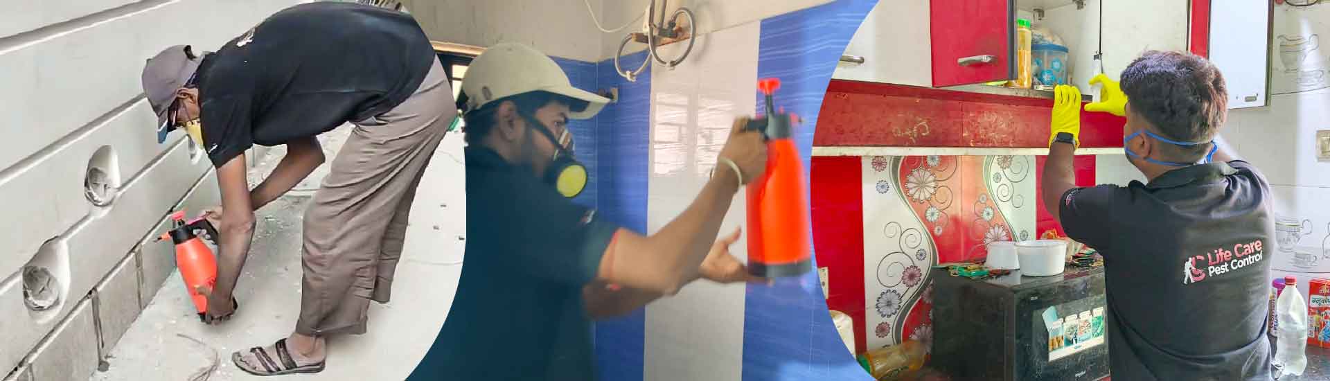 Expert Pest Control Tips for Homes in Andul