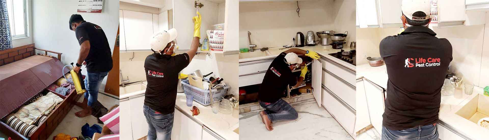 Getting Rid Of Pests Efficiently For a Pest Free Home
