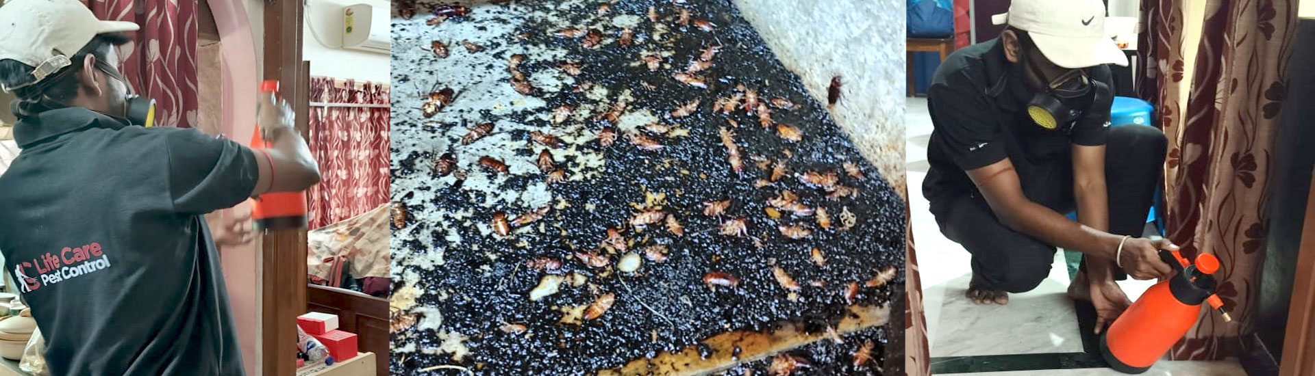 10 Tips and Tricks to Keep Your Office Pest-Free