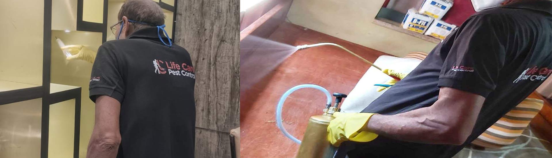 Unwanted Pest From Living In Your Home