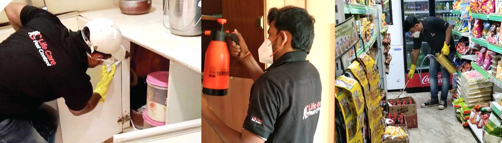 Description of Eco-Friendly Pest Control Solution