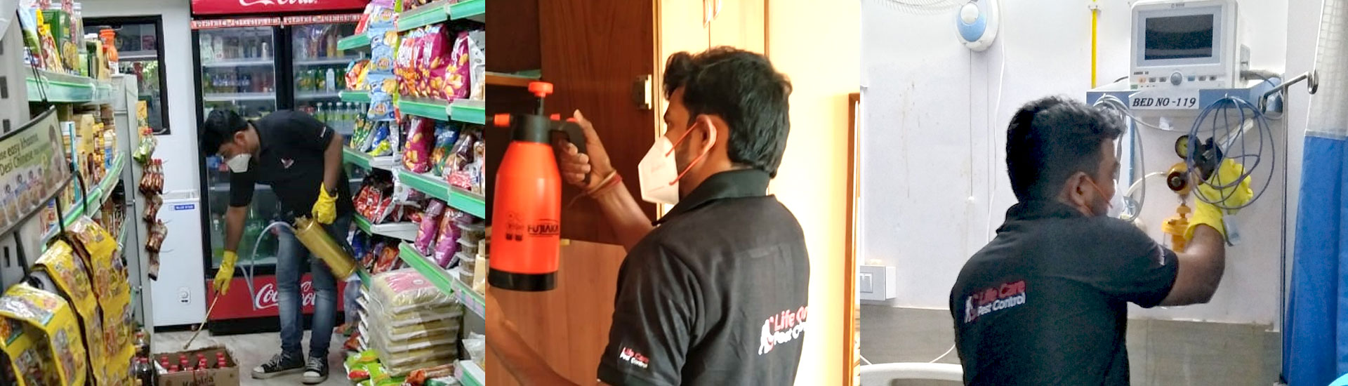 Importance of Termite Control Service in India