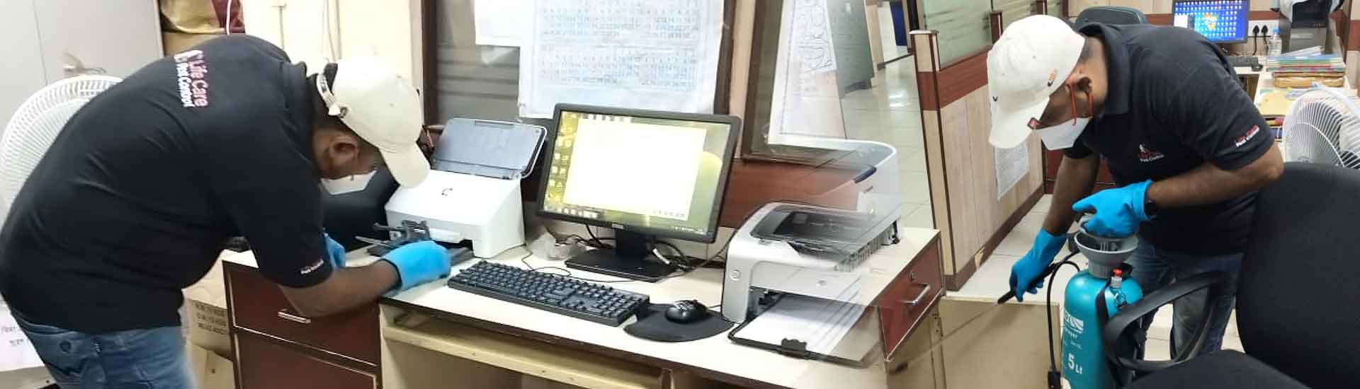 Express Pests Your Office Termination Guaranteed