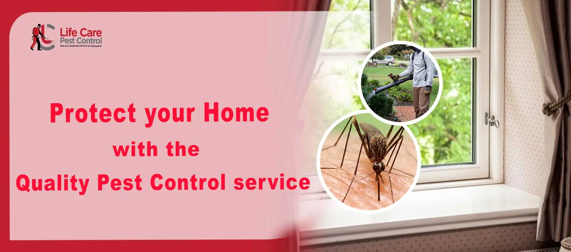 pest control service in kolkata